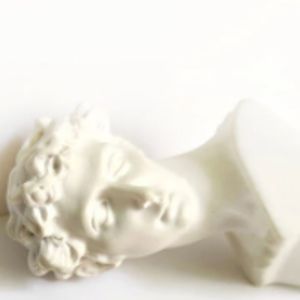 Meet your Posher, Tanner